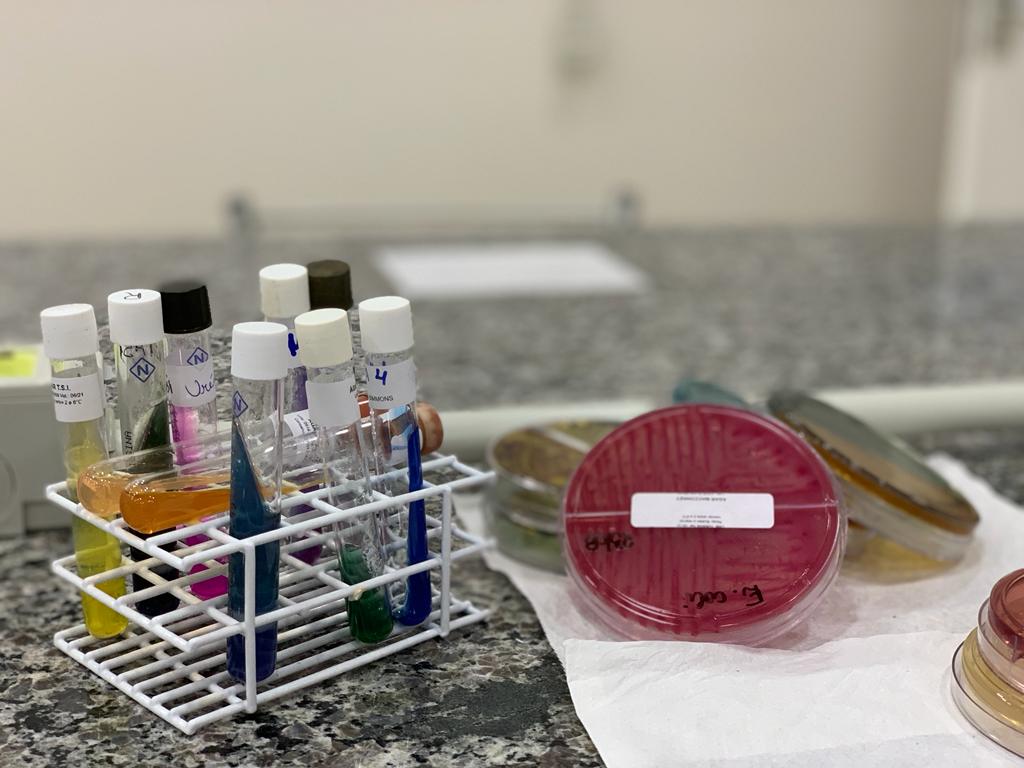 biomedicina.jpeg