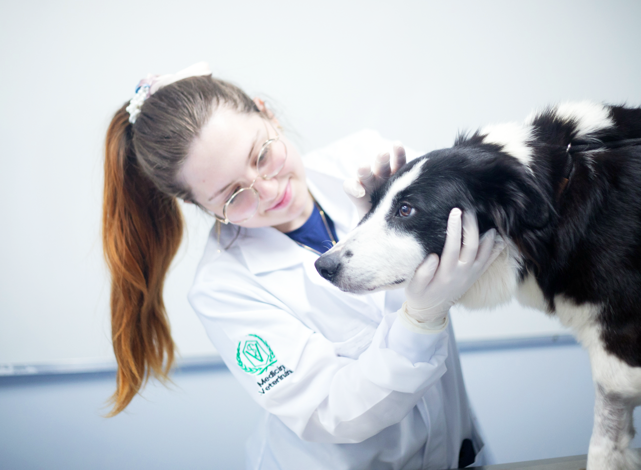 Clínica Veterinária Escola